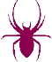 spydr